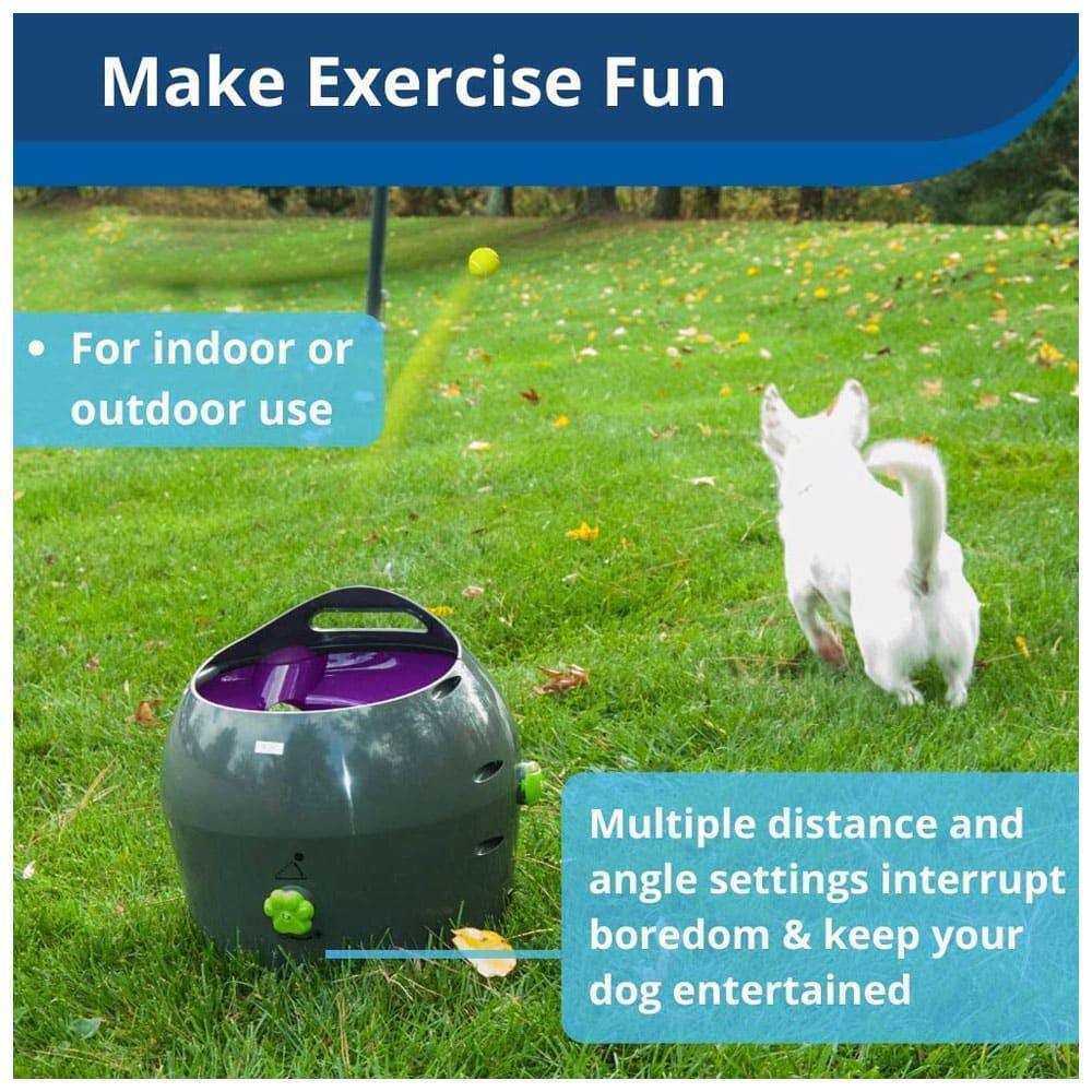 PetSafe Automatic Ball Launcher Dog Toy